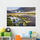 Lily Pads Glow At Sunset As The Clouds Reflect Wall Mural