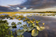 Lily Pads Glow At Sunset As The Clouds Reflect Wall Mural