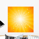 Sunburst Vector