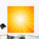 Sunburst Vector