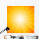 Sunburst Vector