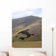 Norcia Wall Decal