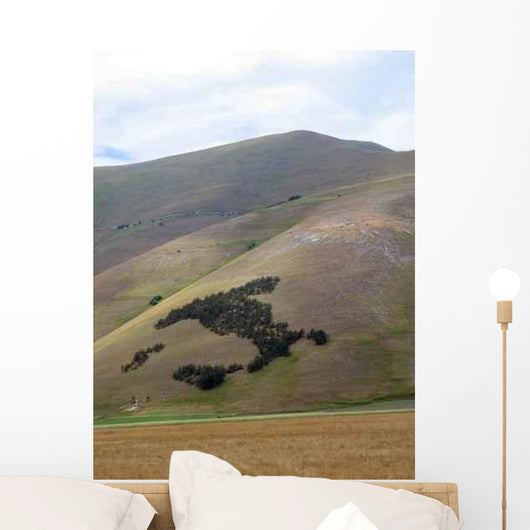 Norcia Wall Decal