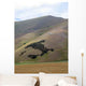 Norcia Wall Decal