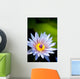 Blue water lily flower Wall Mural