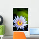 Blue water lily flower Wall Mural