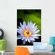 Blue water lily flower Wall Mural