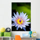 Blue water lily flower Wall Mural