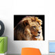 Lion Head