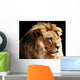 Lion Head