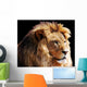 Lion Head