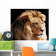 Lion Head