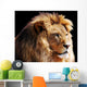 Lion Head