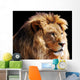 Lion Head