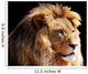 Lion Head