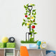 Garden Fork and Tomato Wall Mural