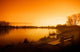 Early Morning Sunrise Wall Decal