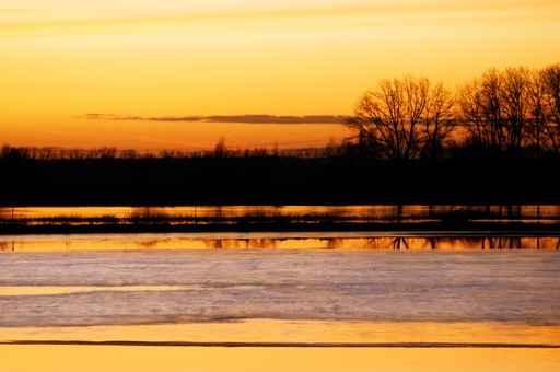 Orange Sunset Wall Decal
