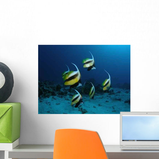 Underwater Wall Decal Design 2