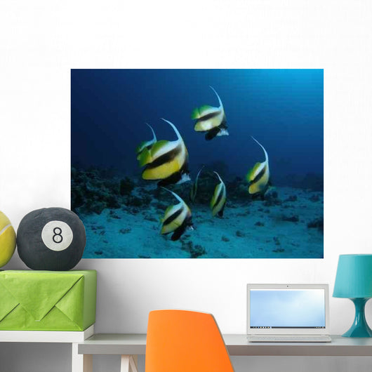 Underwater Wall Decal Design 2