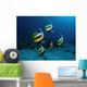 Underwater Wall Decal Design 2