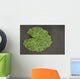 Raindrop Lotus Leaf