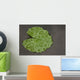 Raindrop Lotus Leaf
