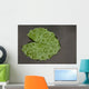 Raindrop Lotus Leaf