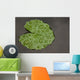 Raindrop Lotus Leaf