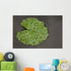 Raindrop Lotus Leaf
