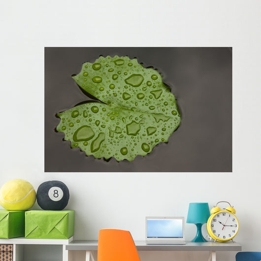 Raindrop Lotus Leaf
