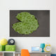 Raindrop Lotus Leaf