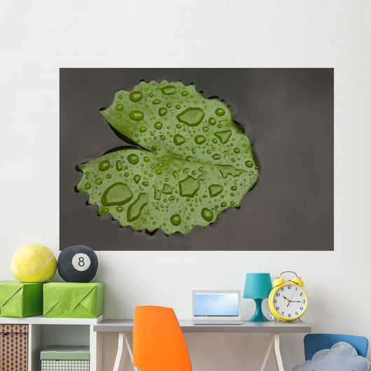 Raindrop Lotus Leaf
