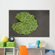 Raindrop Lotus Leaf