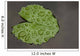 Raindrop Lotus Leaf