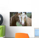 Two Horses Loving Wall Mural