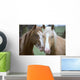 Two Horses Loving Wall Mural