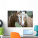 Two Horses Loving Wall Mural