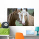 Two Horses Loving Wall Mural