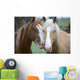 Two Horses Loving Wall Mural
