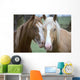 Two Horses Loving Wall Mural