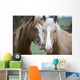 Two Horses Loving Wall Mural