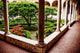 garden inside of church Santa Maria delle Grazie Wall Mural