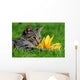 Cat with Sunflower
