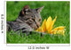 Cat with Sunflower