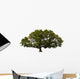 big tree Wall Decal