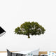 big tree Wall Decal