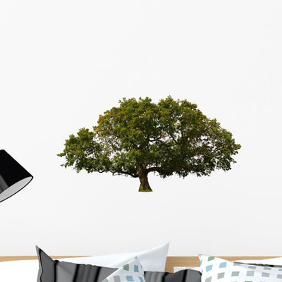 Big Tree Wall Decal shown on a wall