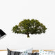 big tree Wall Decal