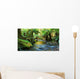 rainforest river panorama Wall Mural